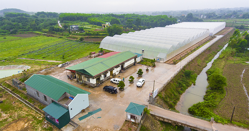 Lễ khởi động dự án triển khai Giải pháp Nông nghiệp thông minh Nextfarm cho 20ha của Công ty Giống Vật tư NNCNC Phú Thọ
